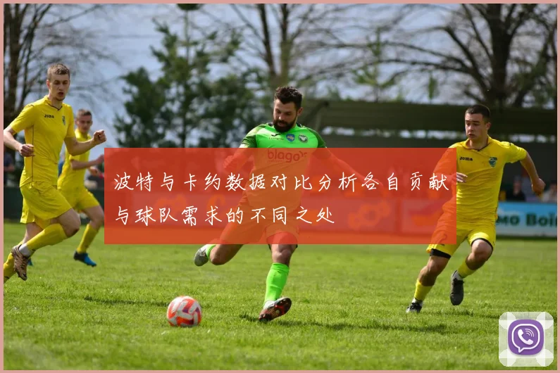 波特与卡约数据对比分析各自贡献与球队需求的不同之处