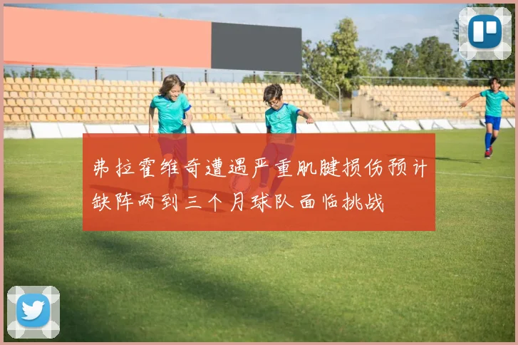 弗拉霍维奇遭遇严重肌腱损伤预计缺阵两到三个月球队面临挑战